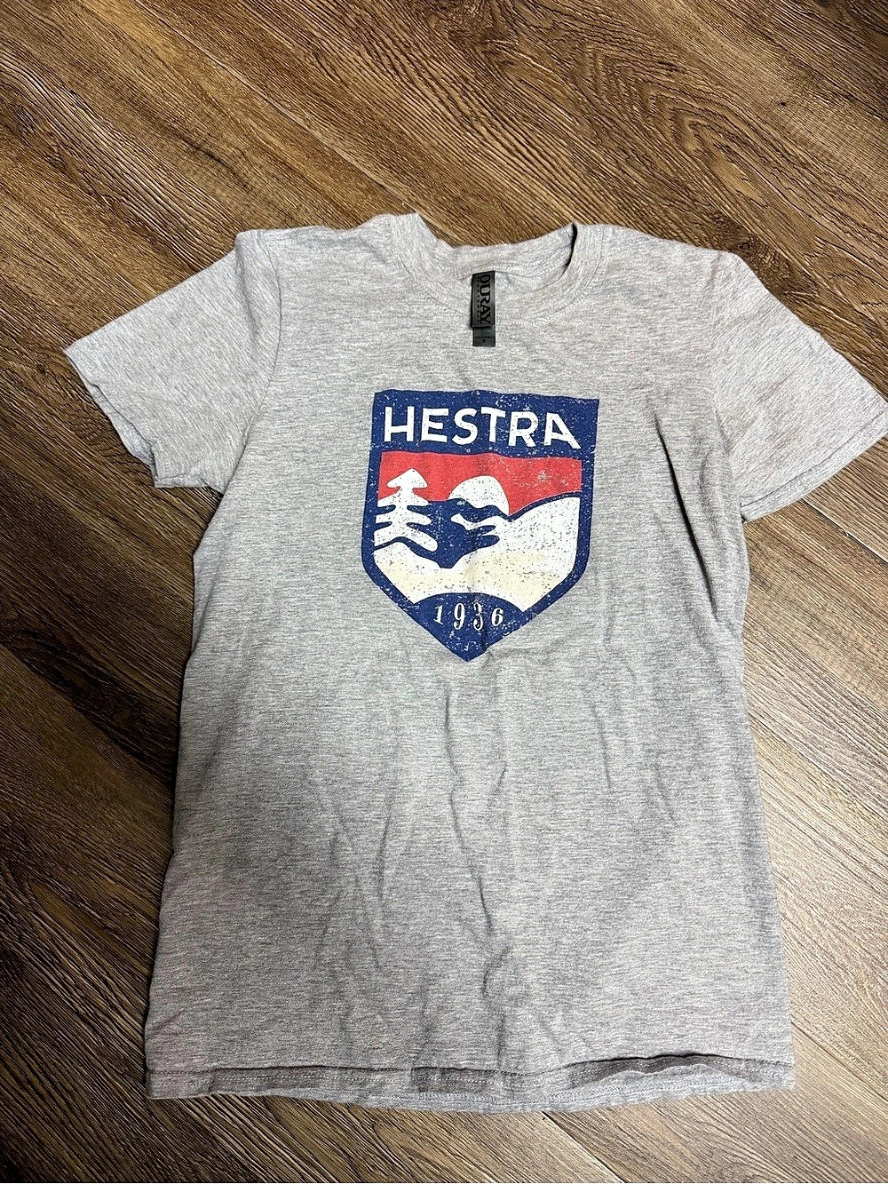 Hester’s Graphic Short Sleeve Tee in Gray Women’s Small